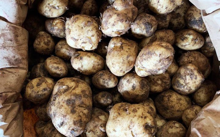 ayrshire-potatoes.jpg